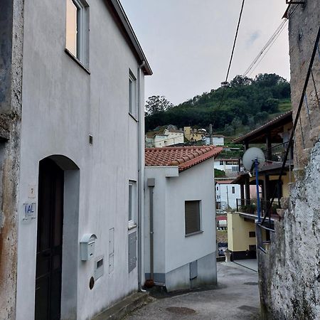 Casa Vale Do Rio Villa Penacova Kültér fotó